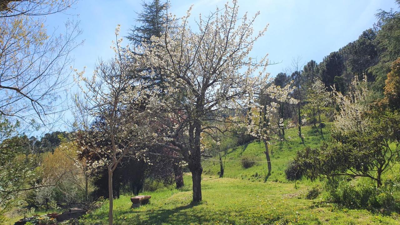 Casa El Prao Βίλα Arenas de San Pedro Εξωτερικό φωτογραφία